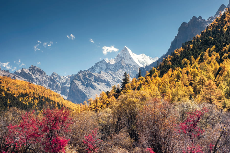 Hermosa mañana en las montañas de Shangrila, China